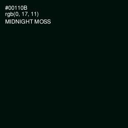 #00110B - Midnight Moss Color Image